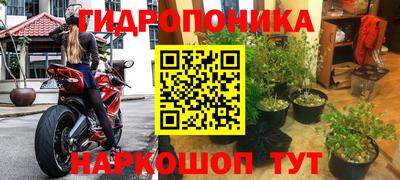 гидра Ливны