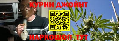 гидра Ливны