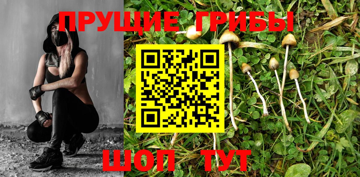 Гашиш  Alpha PVP СК кристаллы  COCAIN  МЕФ   Амфетамин   ЭКСТАЗИ  Кисловодск  NBOMe  Вход с VPN  Канабис  Метамфетамин 