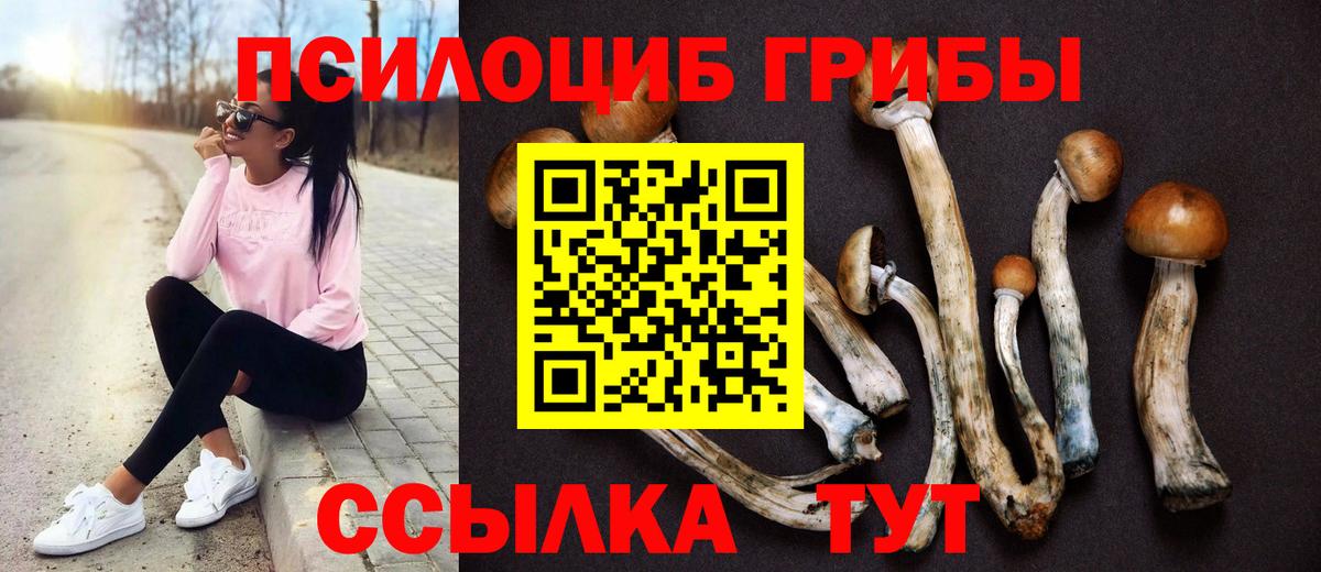 Псилоцибиновые грибы Magic Shrooms  закладки  Кисловодск  Вход с VPN 