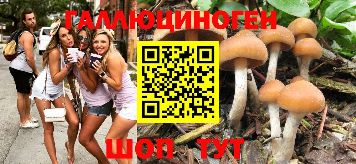 Псилоцибиновые грибы прущие грибы Кисловодск